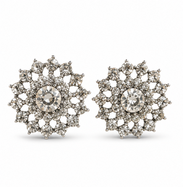 Oxidised Silver Crystal Bird Stud Earrings
